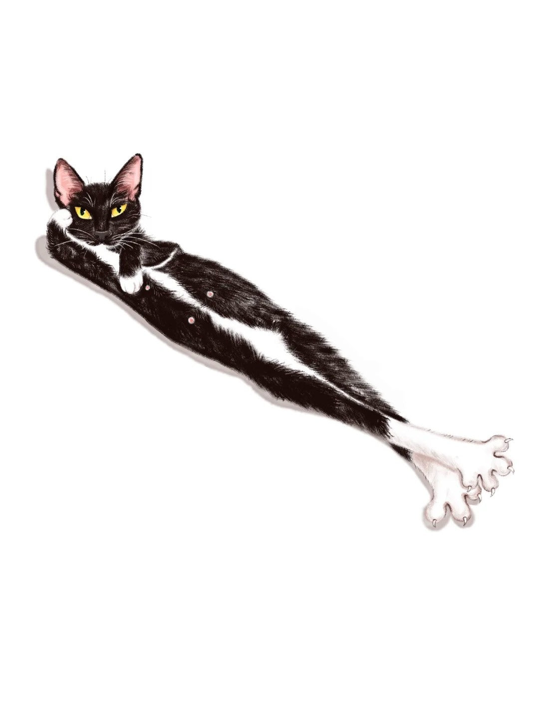 Surreal custom pet portrait of a black and white cat with an elongated body