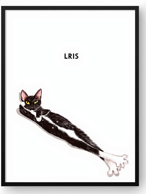 Custom black and white cat portrait by Pawtraits & Tales titled LRIS in a black frame.