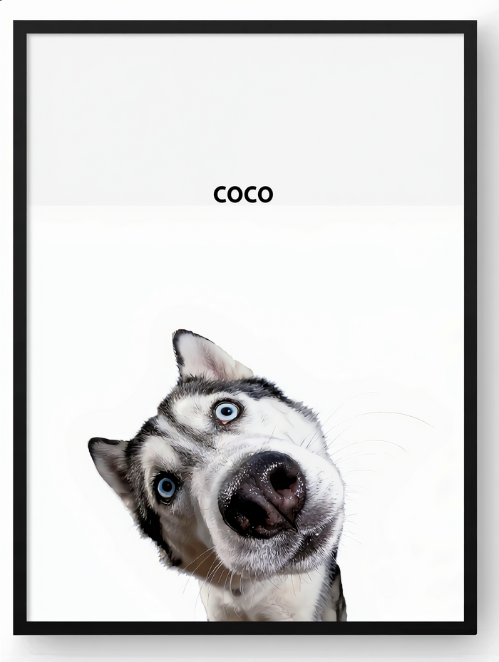Personalized minimal husky pet portrait with the name COCO by Pawtraits & Tales